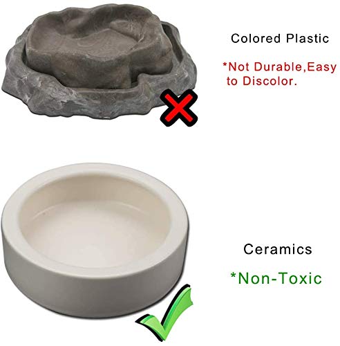 https://m.media-amazon.com/images/I/41g8DjsmsML._SL500_.jpg