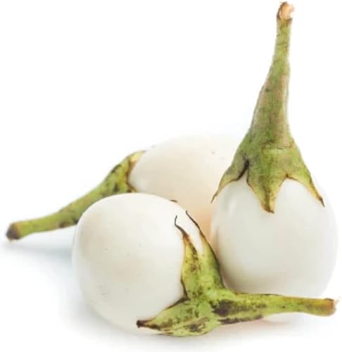 Miniatura 4 de 20 semillas de berenjena africana redondas blancas semillas vegetales comestibles para plantar