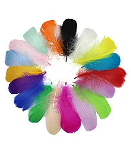 De-Ultimate Natural Dyed Multicolor Multi-Purpose Craft Feathers (Approximately 80pc) for Dream Catcher Artificial Jewelry Making Art & Craftworks s DIY Hobby Crafts Kids Projectworks Scrapbooking