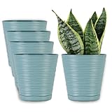 cactus orquídeas Gran regalo para los amantes de las plantas: dale una maceta o macetas de interior para plantas como un regalo calentará los corazones de tus amigos o familiares amantes de las flores. Sorpréndelos y regálalos esta sencilla maceta en la que puedes plantar su vegetación favorita. Y les encantarán estas bonitas macetas