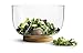 Sagaform Oval Glass Salad Bowl with Oak Trivet, Clear