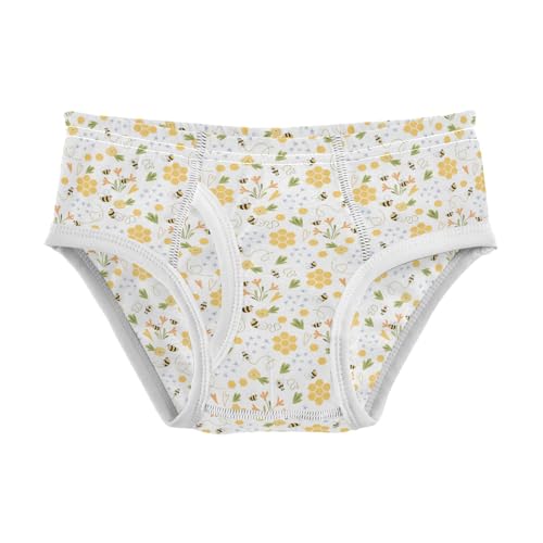 Boys' Exclusive Briefs Toddler Underwear 95% Combed Cotton Boxerbriefs 2T Bee and Flower Pattern 43