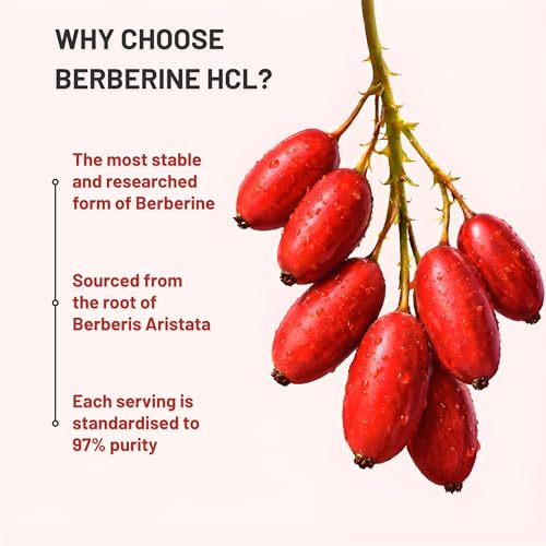 Image of Nutrabud Berberine 500mg with Milk Thistle Supplement - Berberis Aristata Berberine HCL 97% - 60 Veg Capsules (60 Count (Pack of 1))