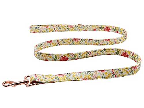 Lionet Paws Correa para perro, collar de perro a juego para perros pequeños, medianos y grandes Cover