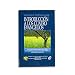 Introducción a los cuatro Evangelios (Spanish Edition)