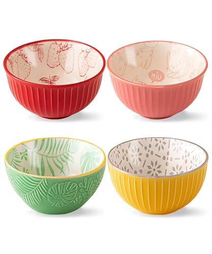 walenbily 300ml Müslischalen Porzellan 4pcs Dessertschalen Set...