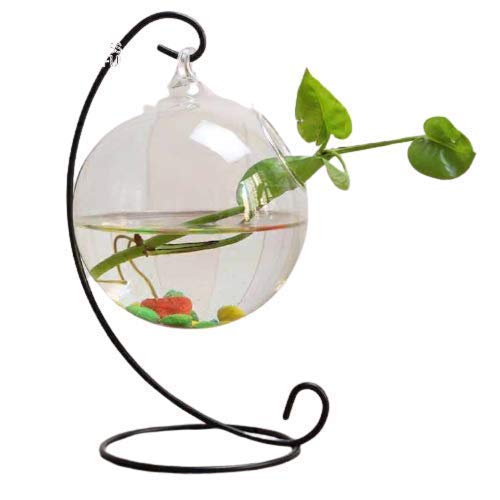 SHOBHANA ENTERPRISES Crystal Clear Glass Fish or Terrarium Round Bowl with Metal Hanging (6 inches) (B08QYZ2NSR) Amazon Price History, Amazon Price Tracker