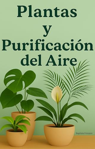 Respirar en la naturaleza: el poder purificador de las plantas de interior para un aire sano y una mente serena