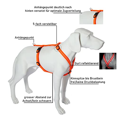 Feltmann Hundegeschirr Mantrailing/Suchgeschirr Basic - Laufgeschirr, Joggergeschirr - Super Soft, Neonorange, reflektierend, Bauchumfang 40-60 cm, 15 mm Bandbreite