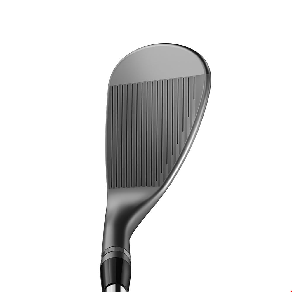 Amazon | Titleist Wedge Vokey SM11 ニッケル RH DG S200 58.06 K