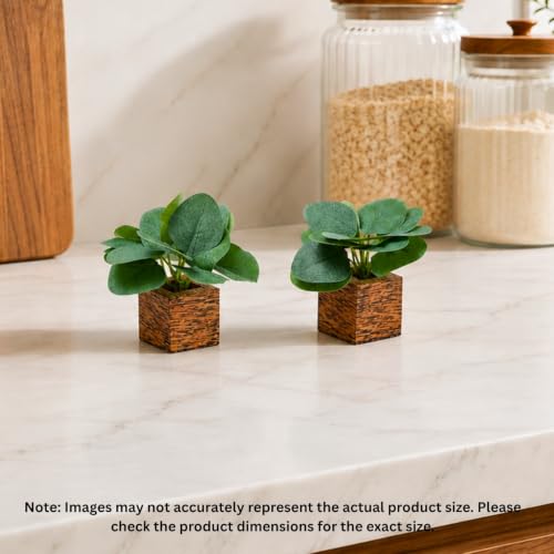 Image of DecoreBugs Artificial Real Touch Flower Plant with Pot (Pack of 2), 16 cm Height, Decorative Faux Floral Plant for Home, Office, Living Room, Bedroom, Table & Shelf Decor