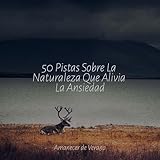 la costa del silencio chords  Costas Silenciosas a Medianoche