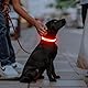Illumifun Leuchthalsband Hund Aufladbar LED Hundehalsband Wasserdichtes Leuchthalsband für kleine und große Hunde, Hundelichter für nächtliche Spaziergänge (Rot, Große)