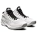 ASICS Men's Sky Elite FlyteFoam Mid Top 2 Volleyball Shoes, 13, White/Pure Silver