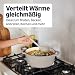 Amazon Basics Schmortopf Rund aus Emailliertem Gusseisen mit Deckel, 5,7 L, Leinengrau