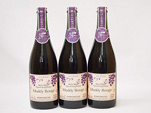  Xp[NOC }fB[W Ԓ (R)750ml×3