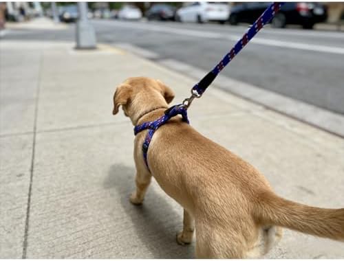 Heavy Duty Nylon Slip Lead Dog Leash, Adjustable Training Lead with Comfortable Handle, Durable Braided Rope Leash for Small, Medium & Large Dogs, Ideal for Walking & Training - 1