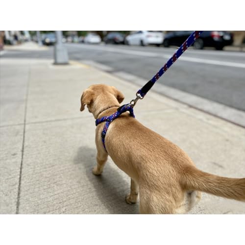 Heavy Duty Nylon Slip Lead Dog Leash, Adjustable Training Lead with Comfortable Handle, Durable Braided Rope Leash for Small, Medium & Large Dogs, Ideal for Walking & Training