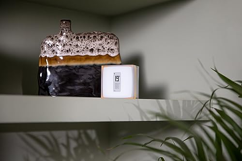 Termostato inteligente Netatmo con el relé y los accesorios de instalación incluidos en la caja