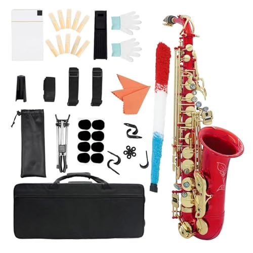 プロ仕様アルトサ�?クス E♭アルトサ�?クス レ�?ドゴールドキー E木管楽器セ�?�?(Set3)