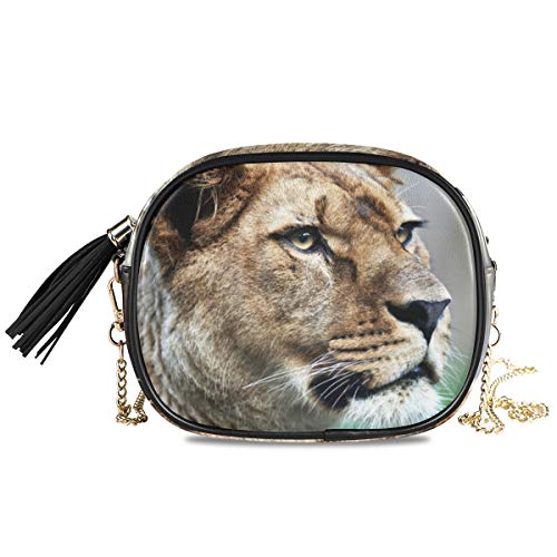 Preisvergleich Produktbild XiangHeFu Münzbehälter Majestätische Löwin Natur Geldbörse Kartenhalter Telefon Tasche Organizer Große Kapazität Geldbörse