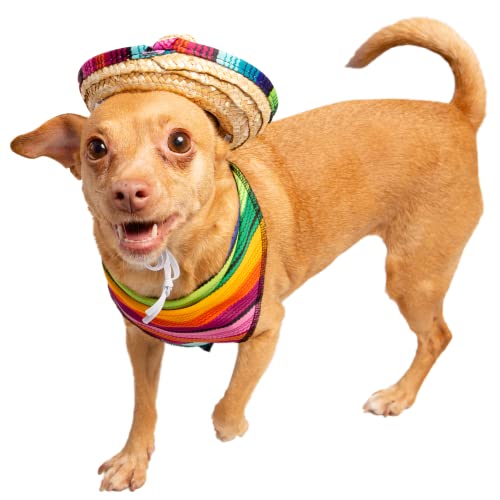 Disfraz Mexicano para Perro y Gato 2 Piezas Sombrero y Collar miniatura 6