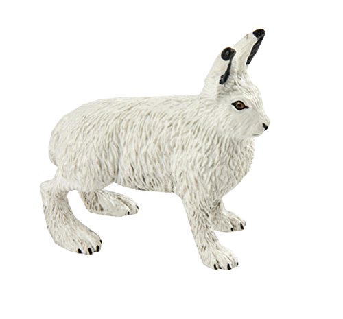 Safari Ltd Arctic Hare