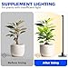 Barrina Standing Grow Light for Indoor Plants, 20W 2FT Desk LED Plant Light, Hanging and Standing, Table Top Full Spectrum Vertical Grow Lights with Stand and On/Off Switch, Ideal for Plants Growth