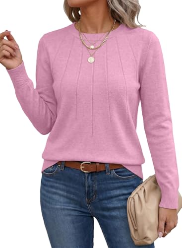 Image of SHEWIN Womens Sweaters 2026 Casual Crewneck Long Sleeve Lightweight Knit Pullover Sweater Tops Fall Clothes