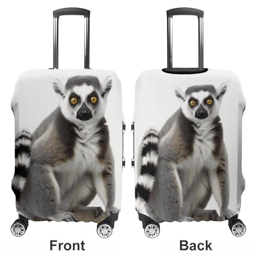 Tailed Lemur Luggage Covers Tsa Approved Suitcase Cover Elastic Washable Luggage Sleeve Carry on Cover Protector Anti-Scratch Suitcase Protector Fits 19-30 Inch Case(M)3