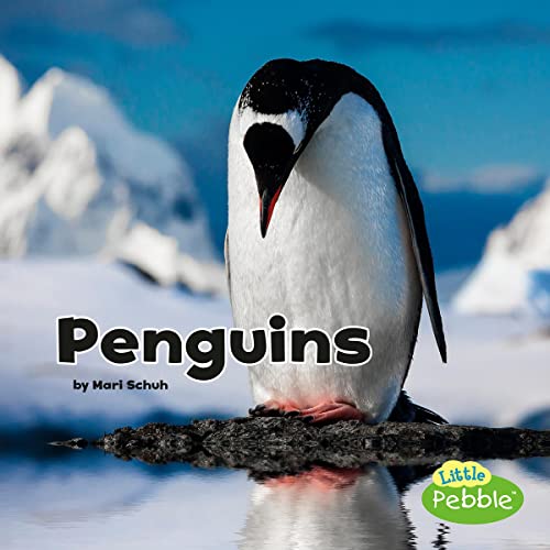 Penguins by Mari Schuh episode artwork