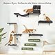 FUKUMARU Kletterwand Katzen Set, 10-teilig Katzen Kletterwand Set, aus robuster Multiplexplatte，Hängematte Katze mit Katzenhaus, Katzenbrücke, Katzenbaum, Katzentreppe bis zu 18 kg, Grau