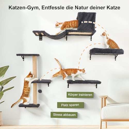FUKUMARU Kletterwand Katzen Set, 10-teilig Katzen Kletterwand Set, aus robuster Multiplexplatte，Hängematte Katze mit Katzenhaus, Katzenbrücke, Katzenbaum, Katzentreppe bis zu 18 kg, Grau