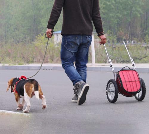 LZAHSH Hunde-Ziehwagen,Hunde-Rollwagen FüR 10-30kg Haustier HundeanhäNger Brustgurt Verstellbar Leicht Zu Tragen Haustier-Pull-Wagen,FüR MittelgroßE Hunde