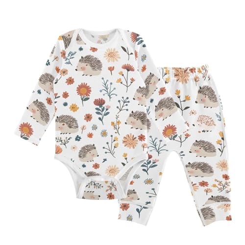 vvfelixl Baby Bodysuits Pants Sets Cute Hedgehogs Floral Long Sleeve Baby Onesie Clothes for Boys Girls 3-6M