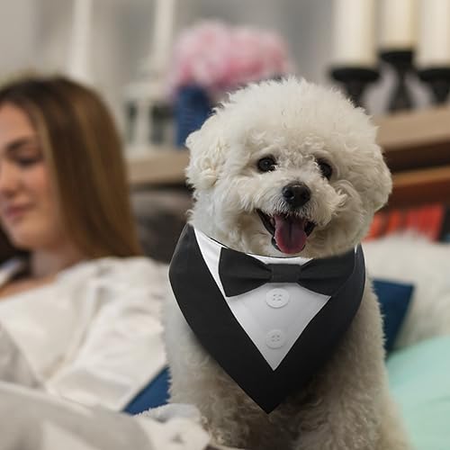 MHaustlie Hunde Smoking Bandana,Kopftücher für Hunde,Haustier Dreieck Schal,Formale Hochzeit Party Hundehalstuch,Verstellbar Krawatte Haustier Anzug Fliege Bandana für Hochzeit Geburtstag(XS,Schwarz)
