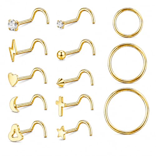 VerveVanguard 13PCS Nose Rings Set for Women Men, 18G Surgical Steel Stud & Hoop Set for Daily Wear, Hypoallergenic for Sensitive Skin, Comfortable for Nostril Cartilage Tragus