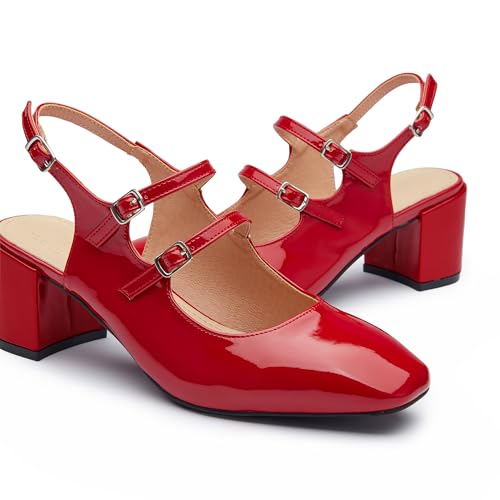 Mary Jane Shoes Slingback Chunky Heels for Women Closed Toe Double Strap Block Heel Pumps Retro Square Dress Shoes for Daily Party3