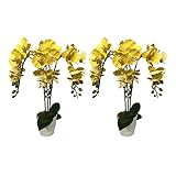 AMERIQUEペア2フィート人工人工ブルーミングイエローラン植物育苗ポット、リアルタッチテック。