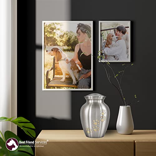 Best Friend Services Pet Urn - Ottillie Paws Legacy Memorial Pet Cremation Urns For Dogs And Cats Ashes Hand Carved Brass Memory Keepsake Urn (Pewter, Vertical, Brass, X-Large) #TOP6