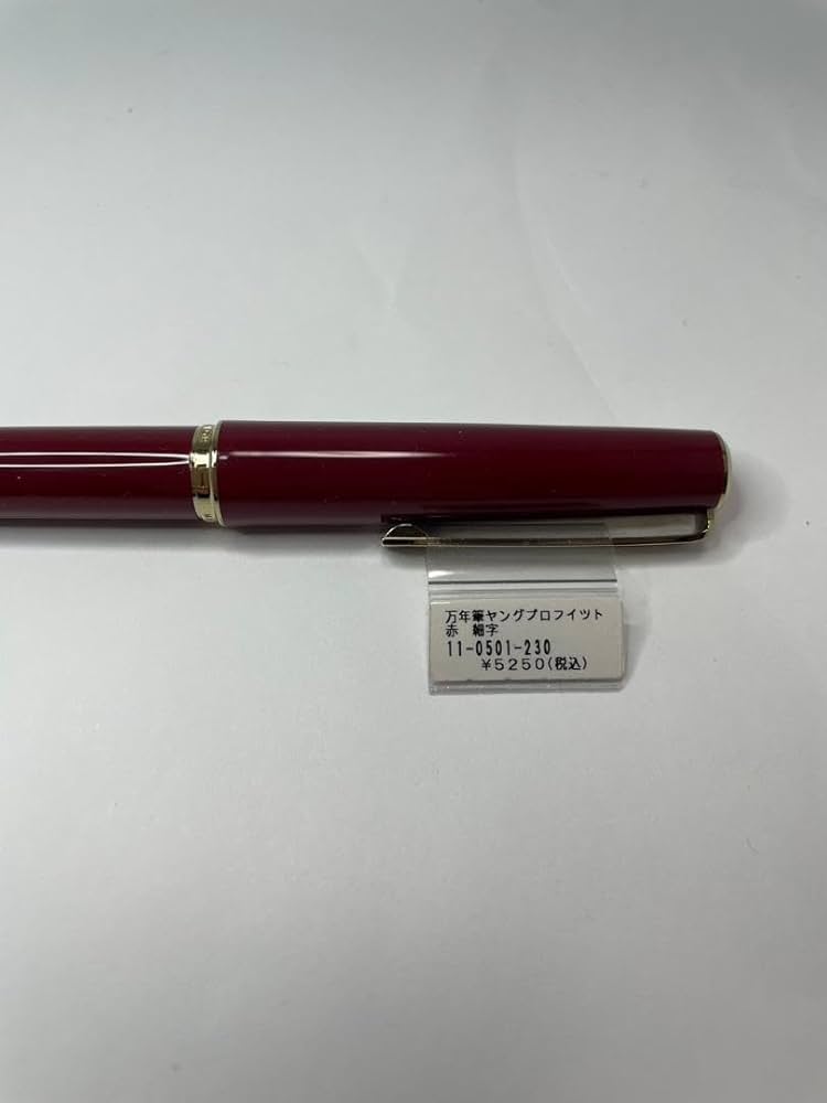 Amazon | セーラー万年筆 ヤングプロフィット 細字 (F) 赤