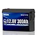 12V 300Ah LiFePO4 Battery Built-in 200A BMS, 2026Upgraded Mini Size, 15000+ Deep Cycles, Lithium Battery with Low-Temp Protection for RV, Marine, Solar, Off-Grid, Home Backup (Compact & Lightweight)