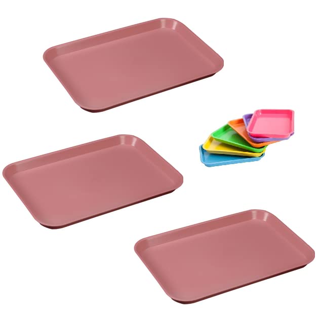 3 Pcs Dental Flat Tray Size B Autoclavable 250F Medical Procedure Instrument Set Up Flat Tray Size B - Coral