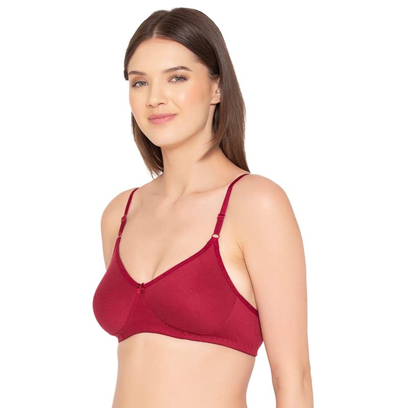 Image of Groversons Paris Beauty Women's Pack of 2 Seamless Non-Padded, Non-Wired Bra (COMB09)