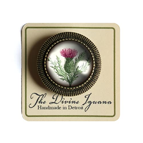 Scottish Thistle Glass And Brass Brooch #TOP3