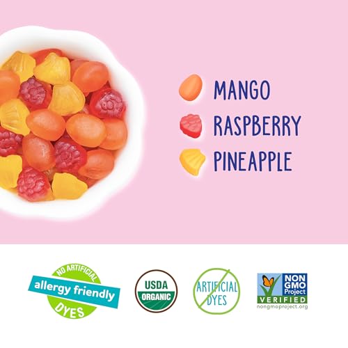 YumEarth Organic Tropical Fruit Snacks, 0.7 Ounce (Pack of 10)