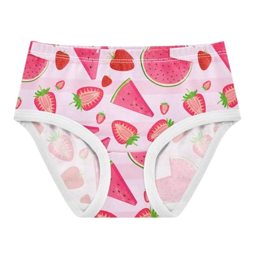 Strawberry Watermelon Toddler Girls's Underwear 2T 202c1853