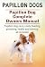 Papillon dogs. Papillon Dog Complete Owners Manual. Papillon dog care, costs, feeding, grooming, health and training all included.