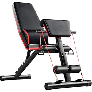 Adjustable Weight Bench with Headrest for Home Gym, Foldable Workout Bench Press, Roman Chair, Ab Sit up Bench, Full-Body Strength Training Equipment