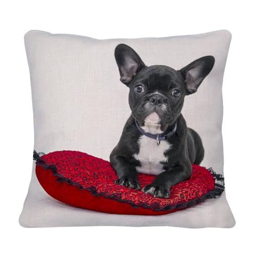 Fabulous Housse de Coussin en Lin - Bouledogue Français Noir et Blanc Petit Chien sur Coussin Rouge et Noir Mignon Animaux - 40 x 40 cm